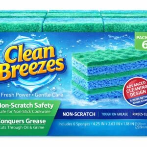 Non-Scratch Scrub Sponge